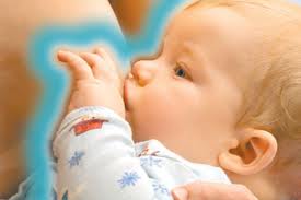 Anne Sütünü Arttıran Bitkisel Kürler